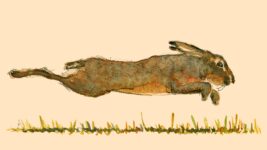 Books by Billy Collins and James Norbury deliver inspiration and humor : NPR