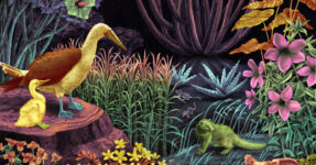 Book Review: ‘Dark Laboratory,’ by Tao Leigh Goffe