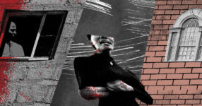 Book Review: ‘Casualties of Truth,’ by Lauren Francis-Sharma