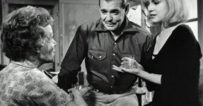 Book Review: ‘Sucker Punch,’ by Scaachi Koul; ‘No Fault,’ by Haley Mlotek