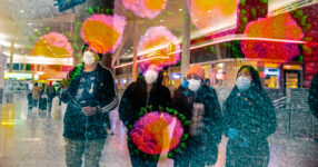 Book Review: ‘Air-Borne,’ by Carl Zimmer