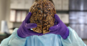 Book Review: ‘The Ideological Brain,’ by Leor Zmigrod