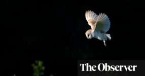 Overnight: Journeys, Conversations and Stories After Dark by Dan Richards review – night owls of all feathers | Books