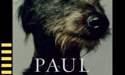 “Timbuktu” by Paul Auster - Sad Dads Book Club review
