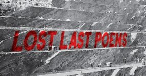 Book review: A Wunderkammer of poems is filled with mystery and creativity