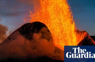 The Savage Landscape by Cal Flyn review – a carnival of a book about Earth’s wild places | Science and nature books