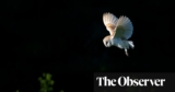 Overnight: Journeys, Conversations and Stories After Dark by Dan Richards review – night owls of all feathers | Books